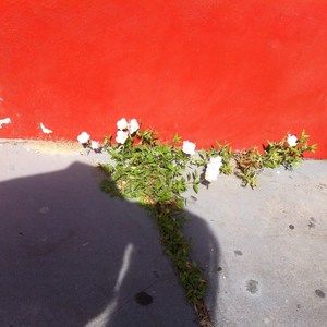 Meet your Posher, Dan